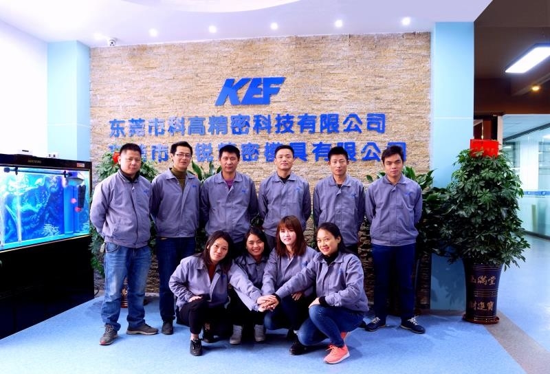 Çin Dongguan Kegao Precision Technology Co., Ltd. şirket Profili
